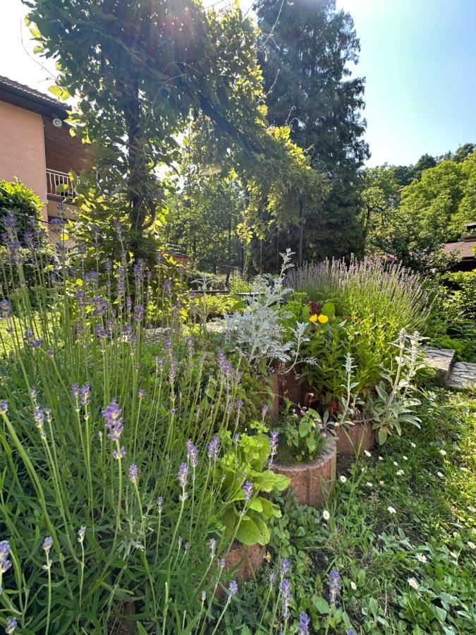 Beautiful House Overlooking Saraievo Exterior foto