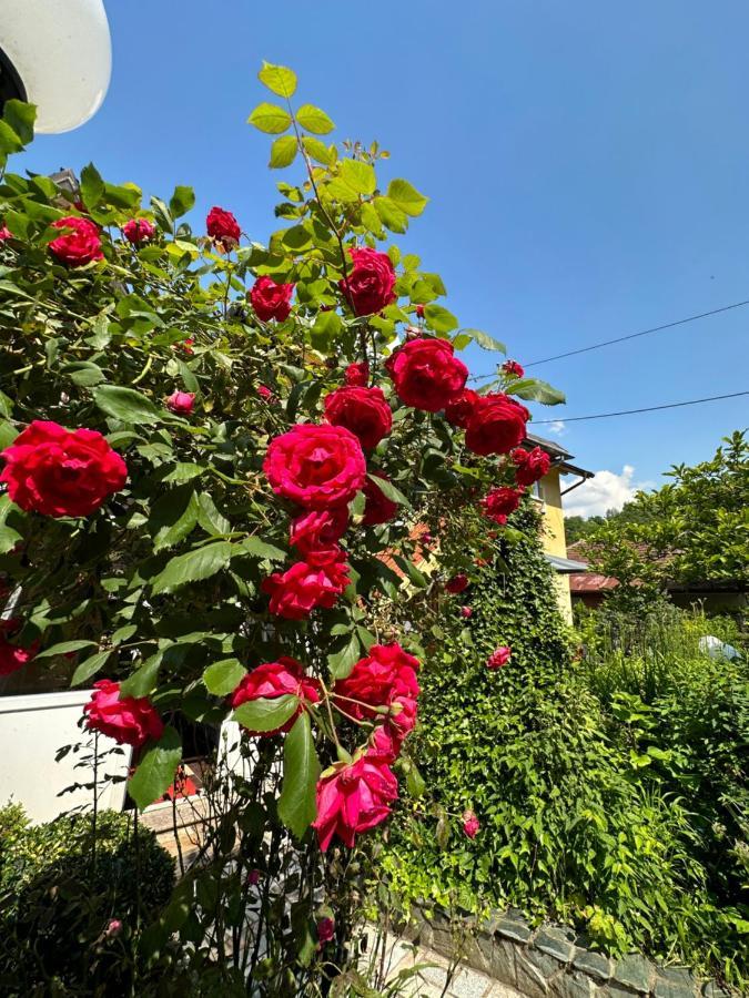 Beautiful House Overlooking Saraievo Exterior foto